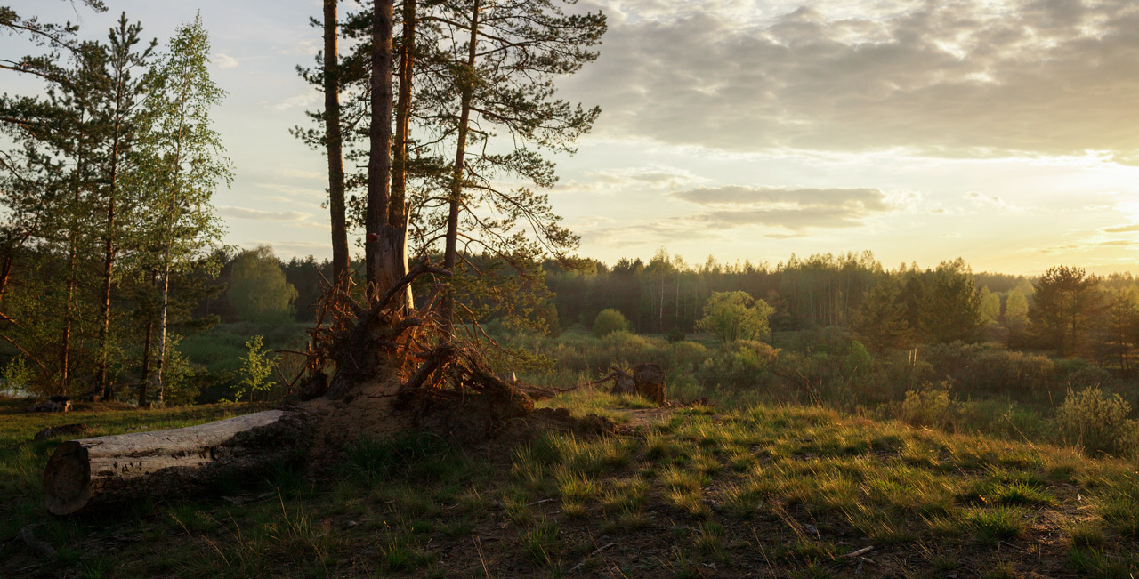 Пейзаж. Река Тьма. Тверская область