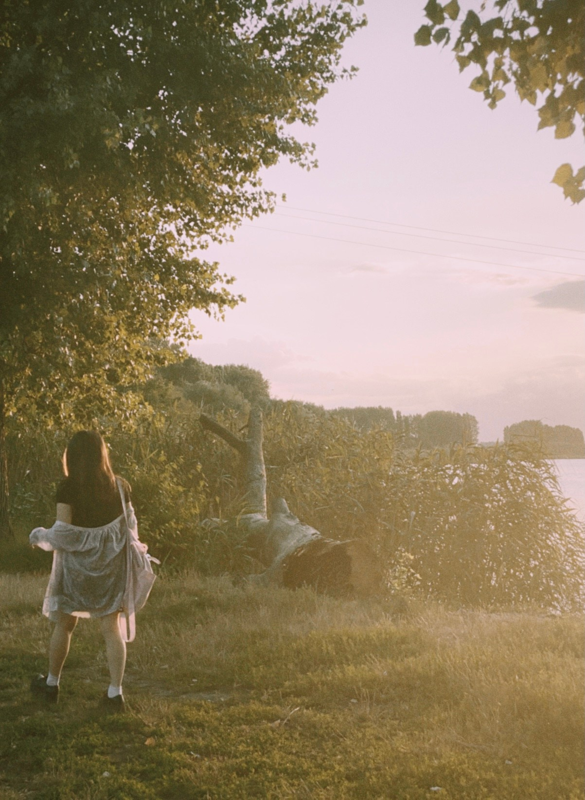 Сборное. Цифровой и плёночный фотограф Москва Дарья Вьюнова