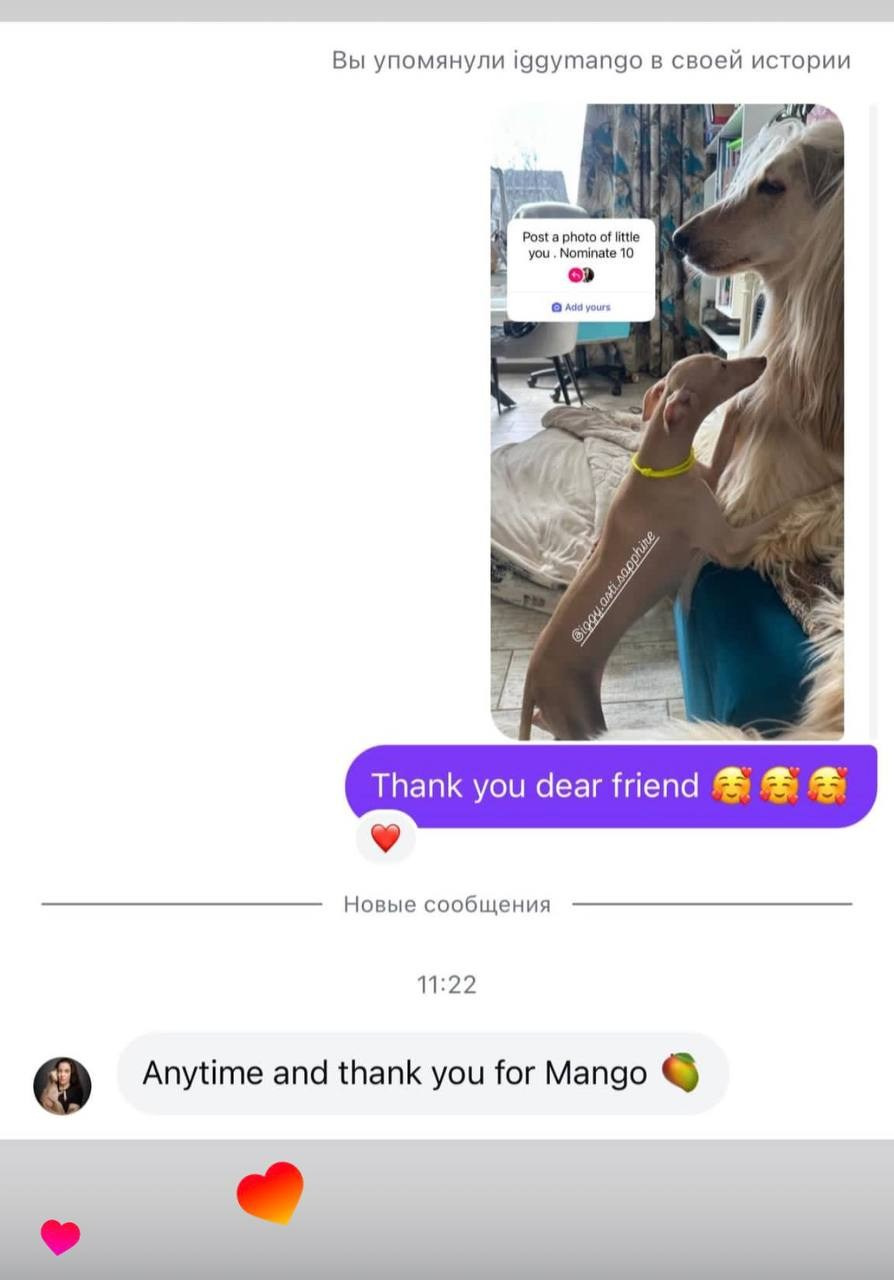 Welcome. Профессиональный питомник левреток РКФ/FCI ASTI SAPPHIRE 💎 Сочи|Санкт-Петербург