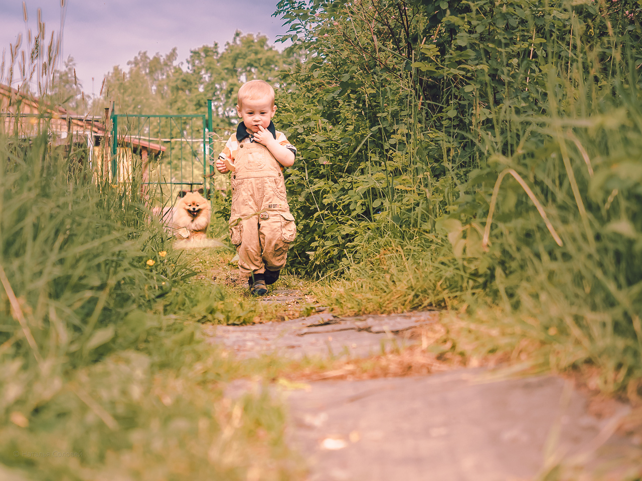 Фотосессия цена. Отличные фотографии своих близких, своего бизнеса или даже себя. СПб