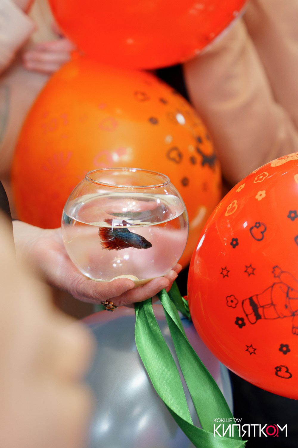 ТОЙ ДАСТАРХАН. КИПЯТКОМ КОКШЕТАУ