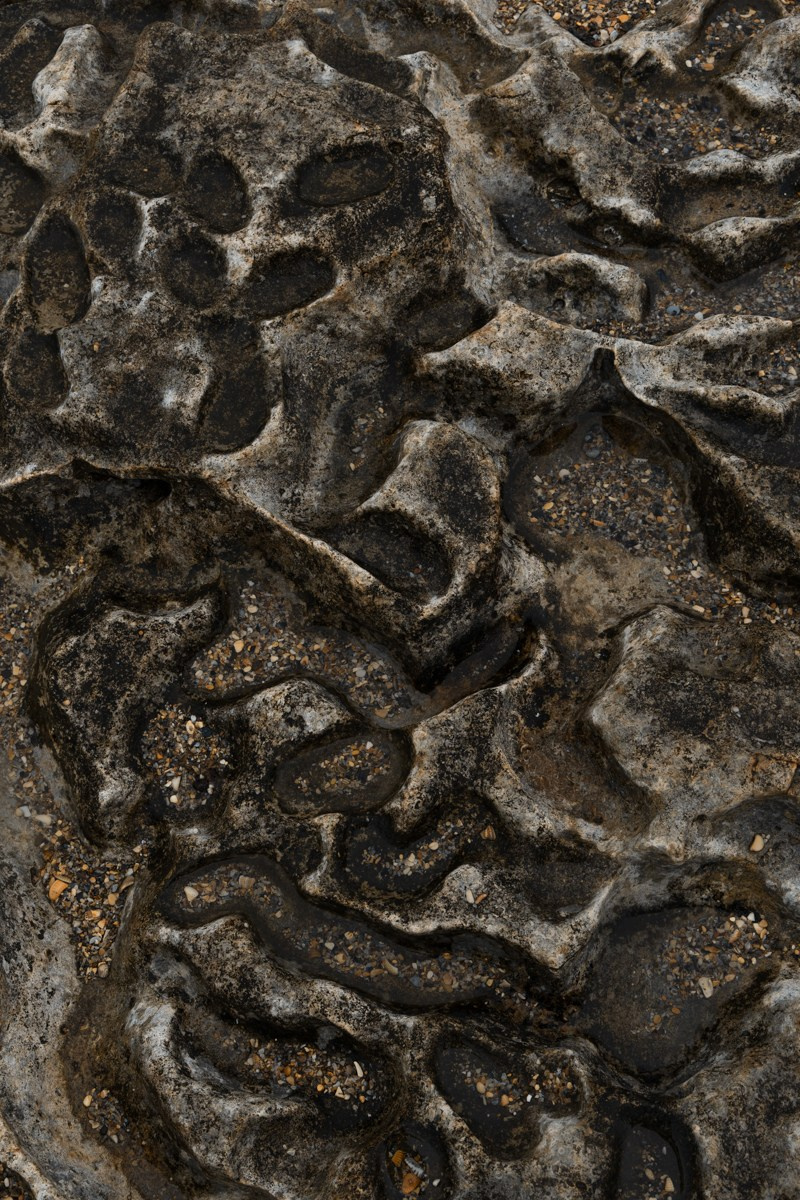 Избербаш. Photomantis