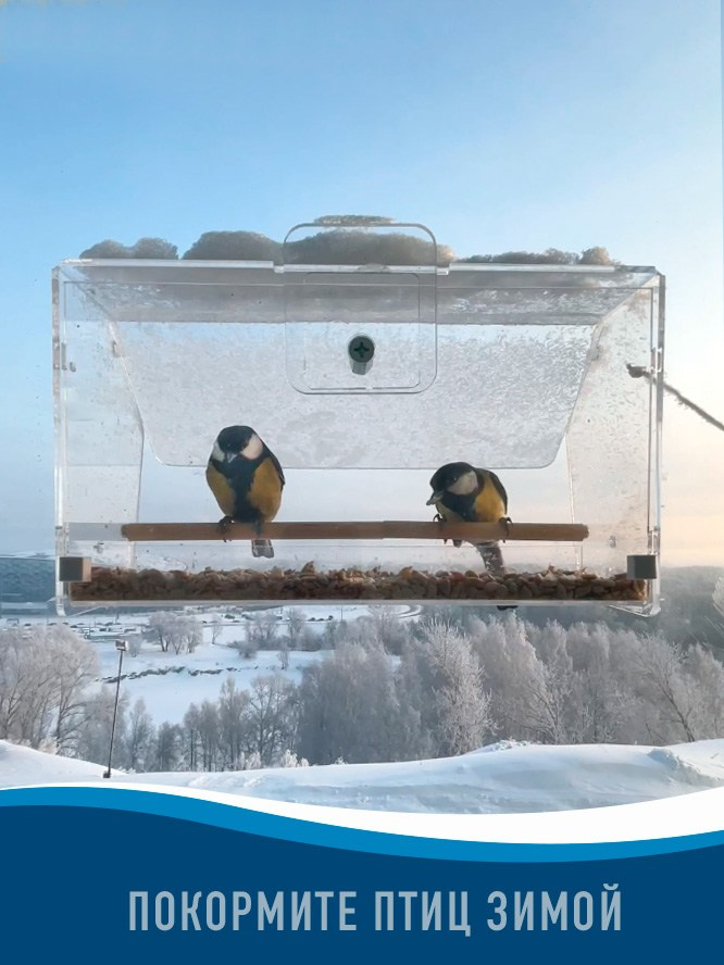 СИМПЛ. Кормушки для птиц на окно Чирик-Чирик