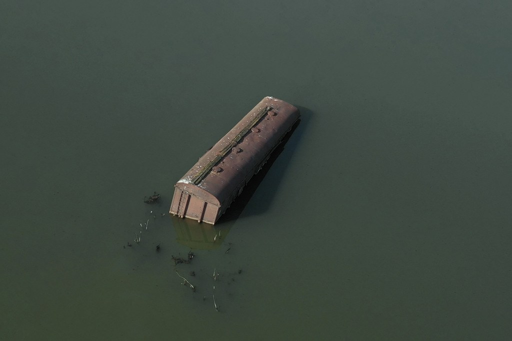 The city of white birches. Vita Stroganova