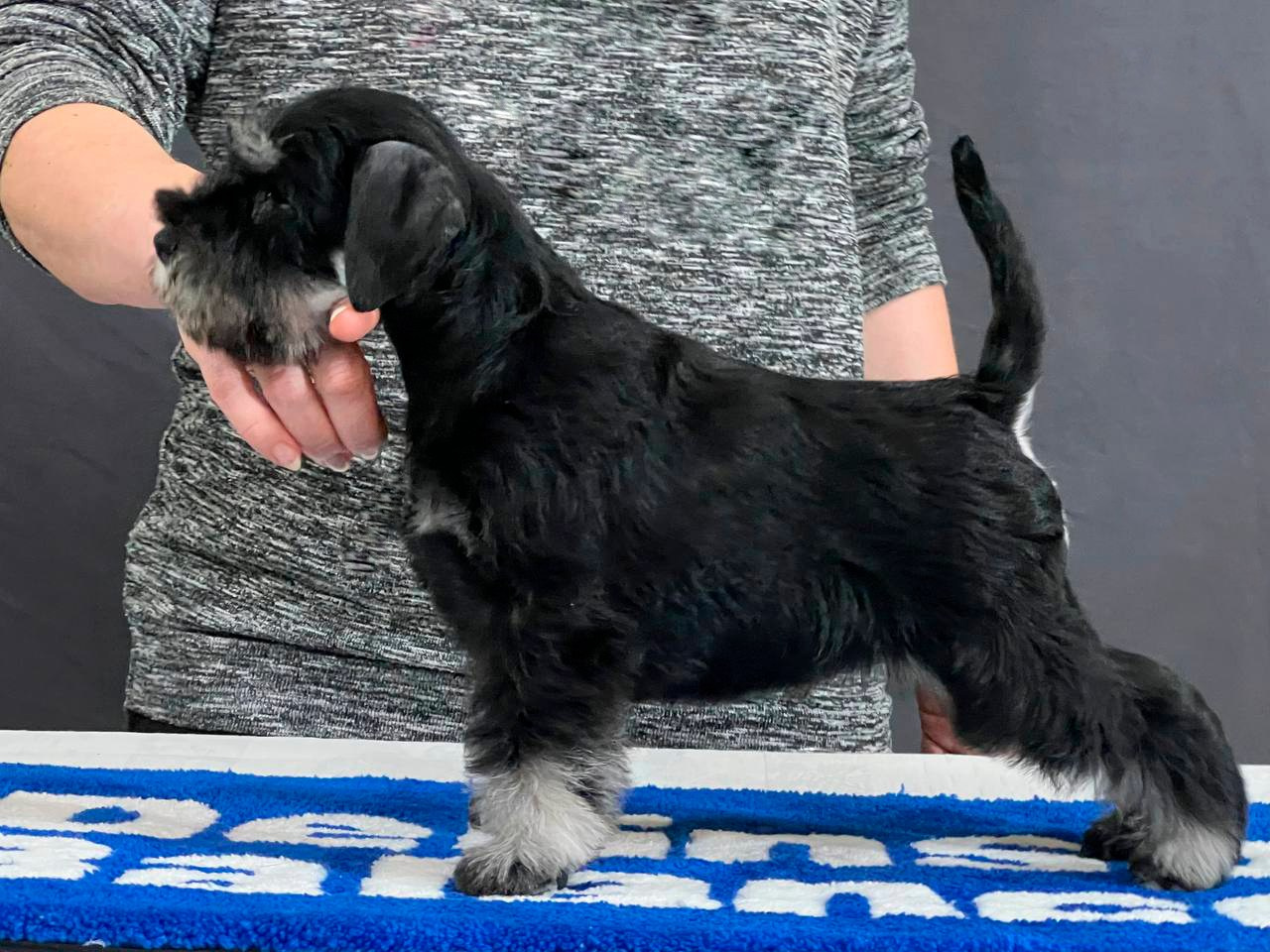 Delinso Balance Yanet Behatti