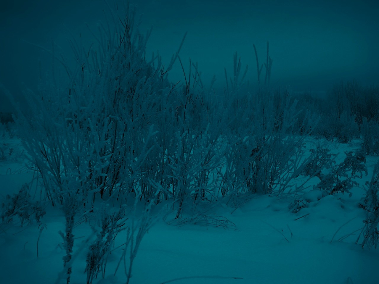 Tsss. Фотограф Cyberkyrie