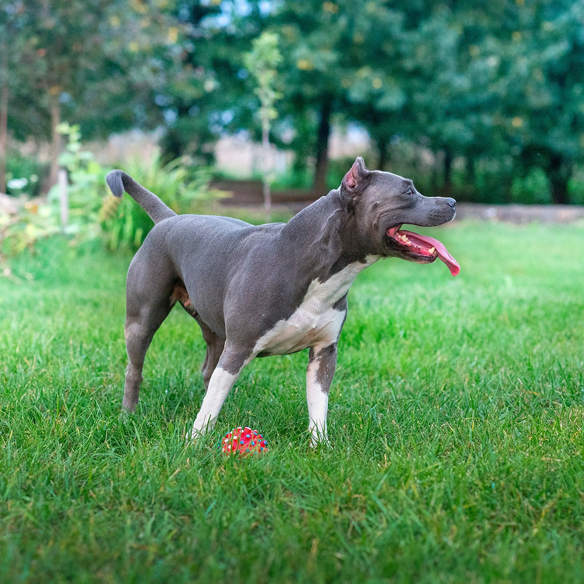 ЖЫВЁЛЫ. Вясельны і партрэтны фатограф Сяргей Клемянок