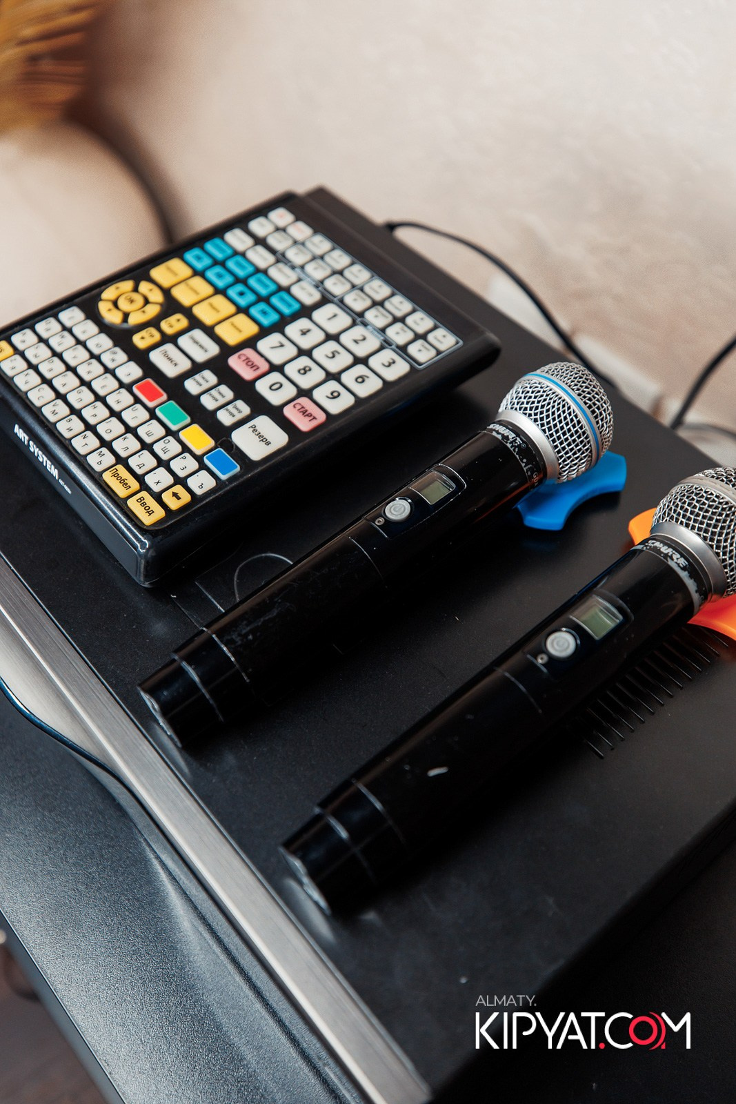 УХО И МЕДВЕДЬ НА САИНА. КИПЯТКОМ АЛМАТЫ!