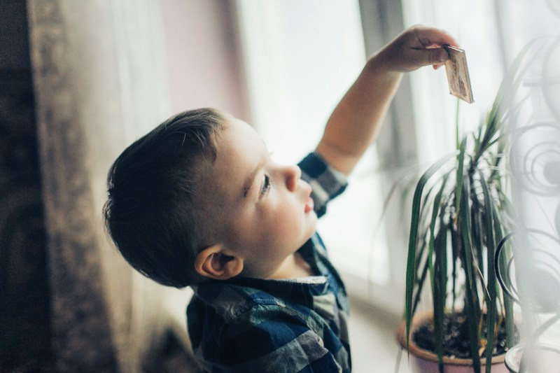 Ярик и Ева. Свадебный фотограф в Москве — Павел Воронцов