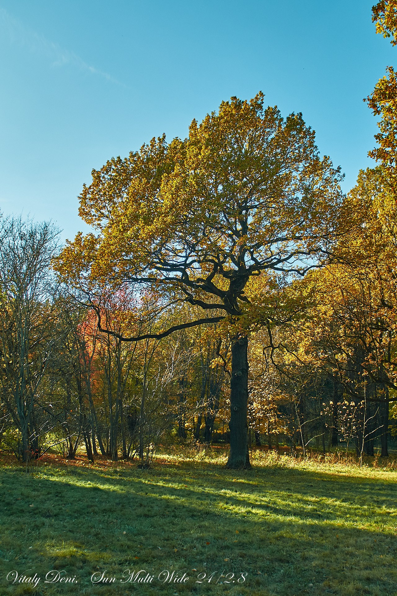 Унылая пора! Очей очарованье!. Сайт фотографа Виталия Дени