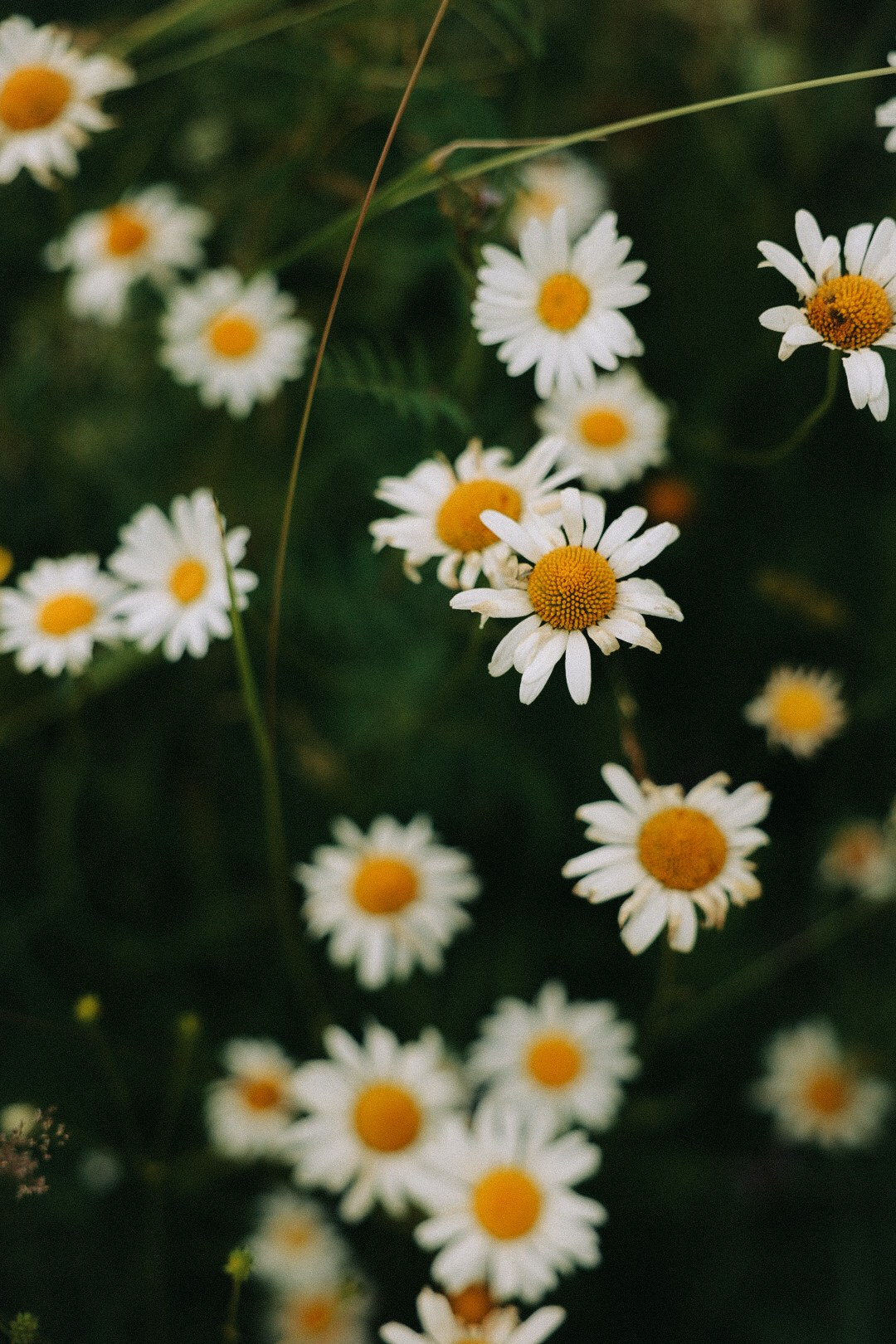Влад и Наташа. Фотограф Нижний Новгород