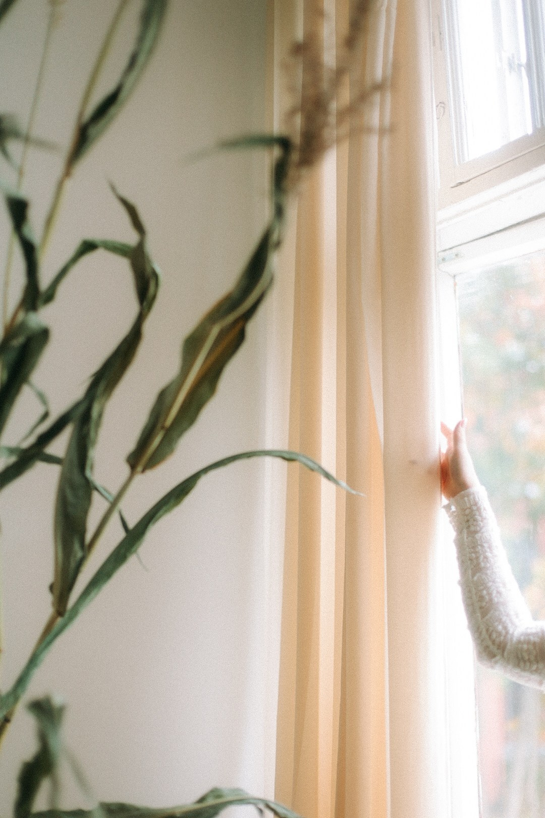 Даша. Фотограф Нижний Новгород