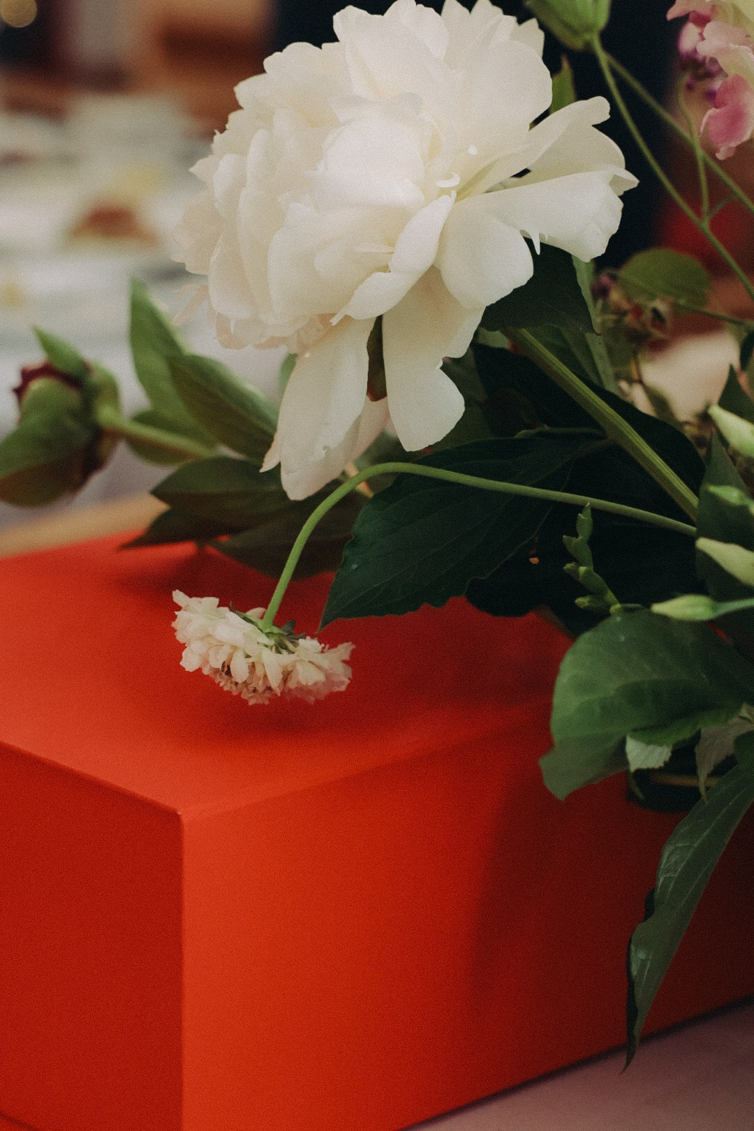 Марк и Юля. Фотограф Нижний Новгород