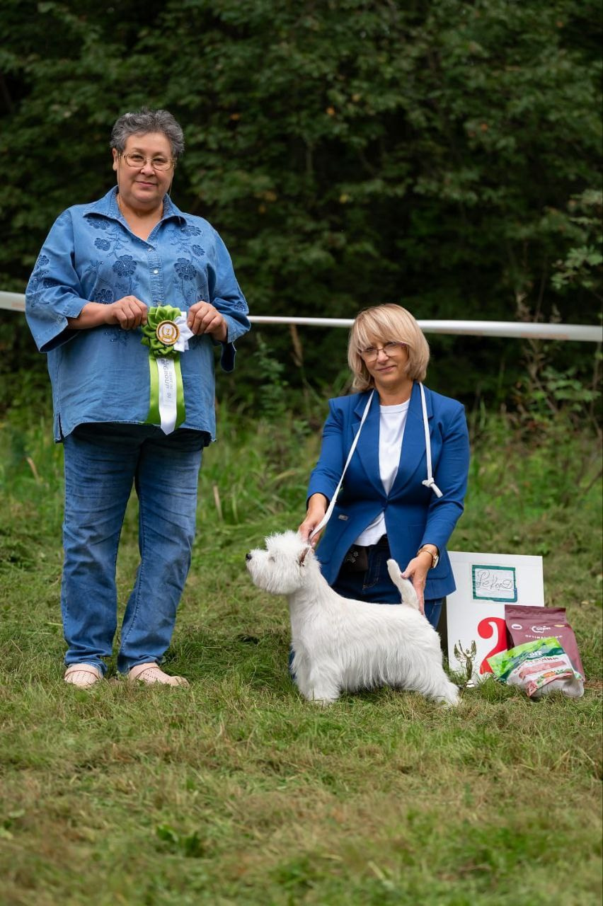 Г.Балашиха, 2 выставки «Селебрити» ранга ЧРКФ и ЧФ РФСС. Питомник собак породы вест хайленд вайт терьер в Москве