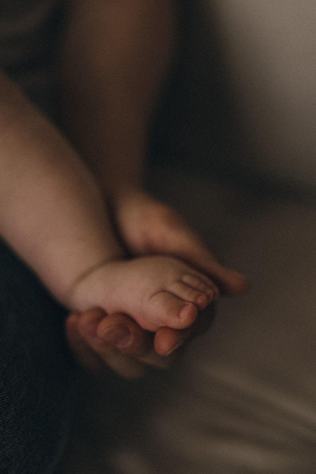 Тёма с семьей. Семейный фотограф Полина Легачева