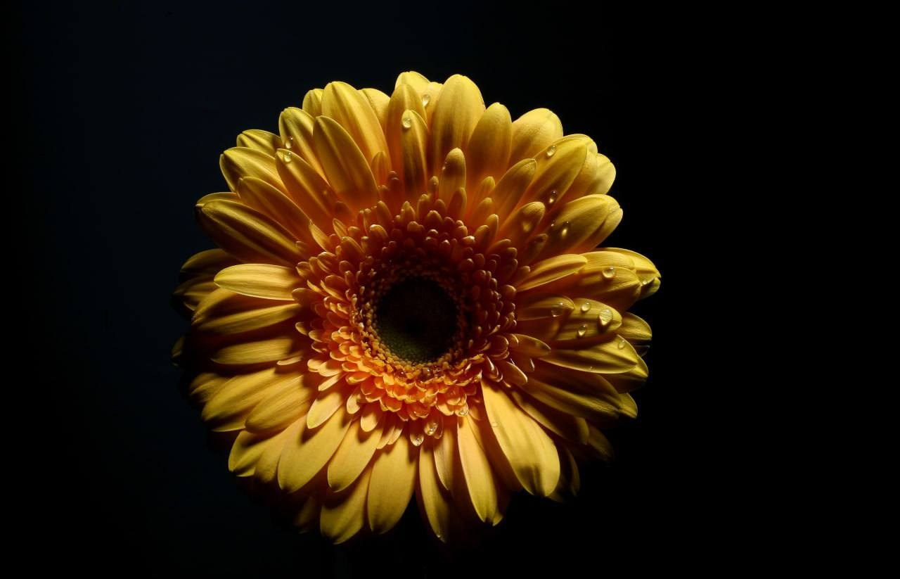 Предметы. Фотограф в Москве Юлия Майорова