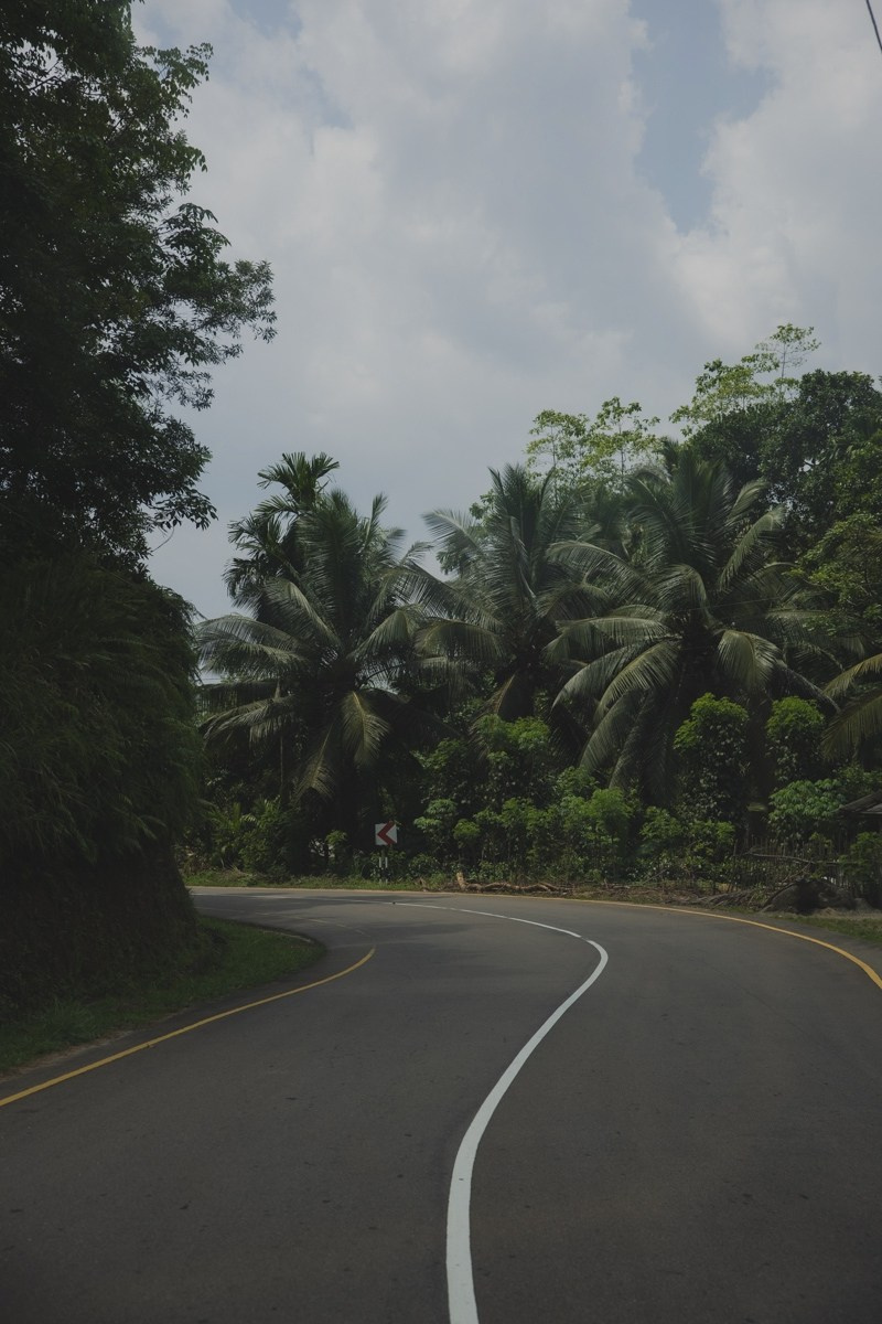 Шри-ланка. Ретрит «Bodу.Mind.Soul» Март 2024 Фото. Профессиональный фотограф Татьяна Евглевская