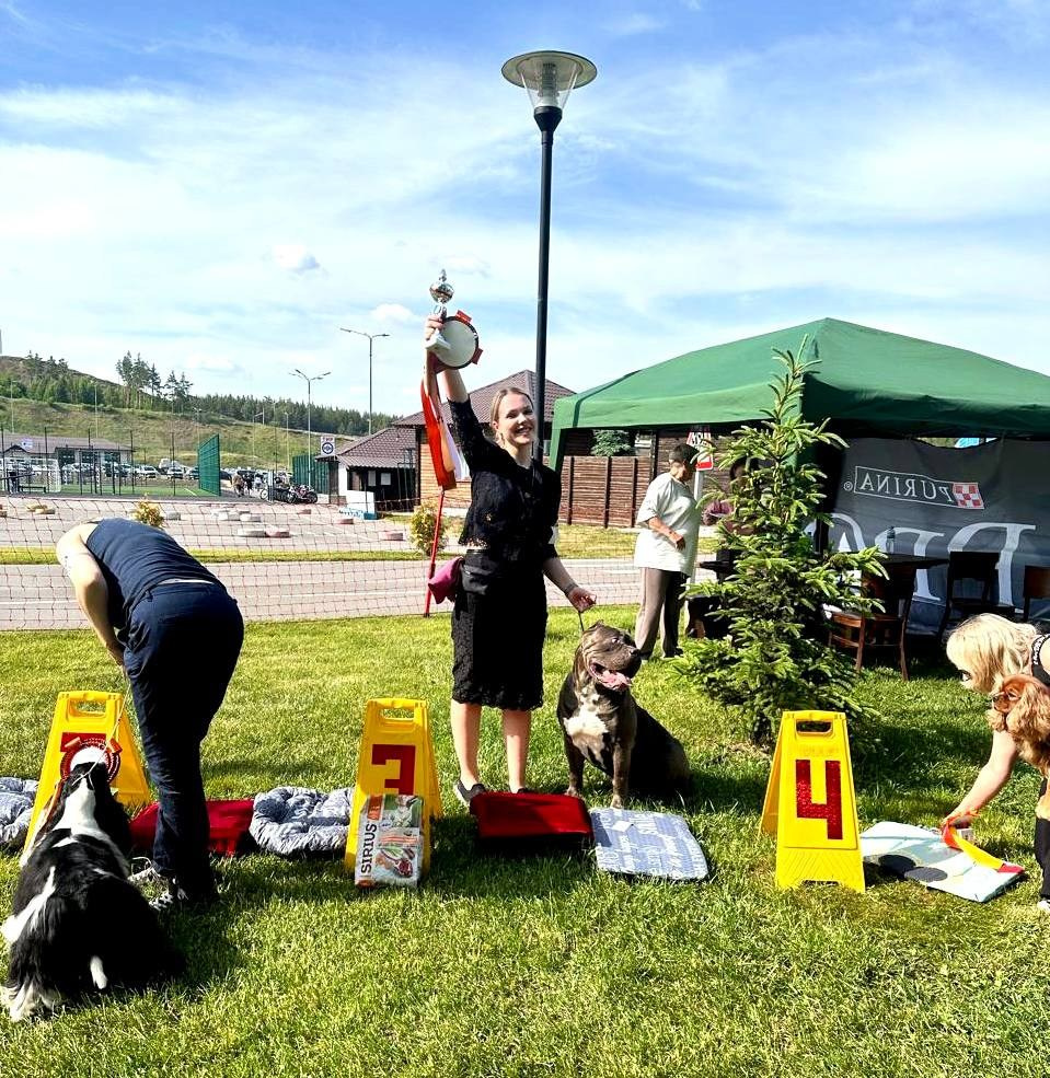 Участие в выставках. Американские булли XL в г. Калининград. Питомник Great Bully UNIVERSE