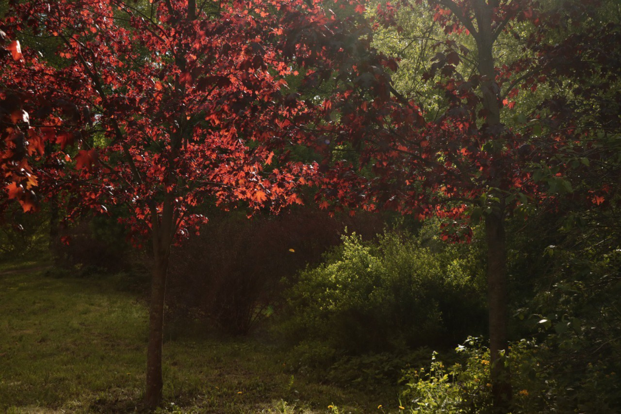сказочная пейзажная фотография