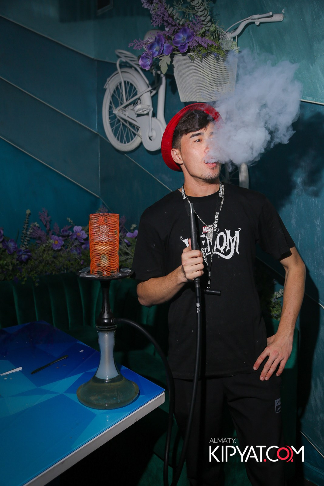 УХО И МЕДВЕДЬ НА САИНА. КИПЯТКОМ АЛМАТЫ!