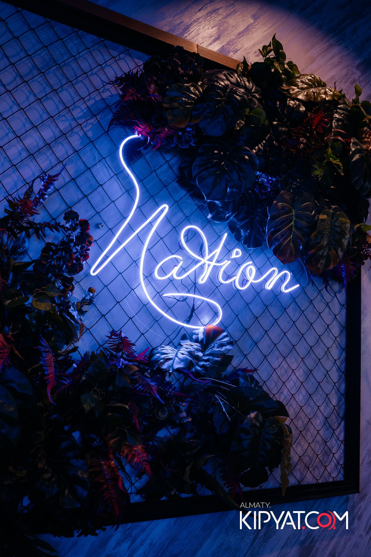 ДОРОГАЯ, Я НЕ ПИЛ. КИПЯТКОМ АЛМАТЫ!