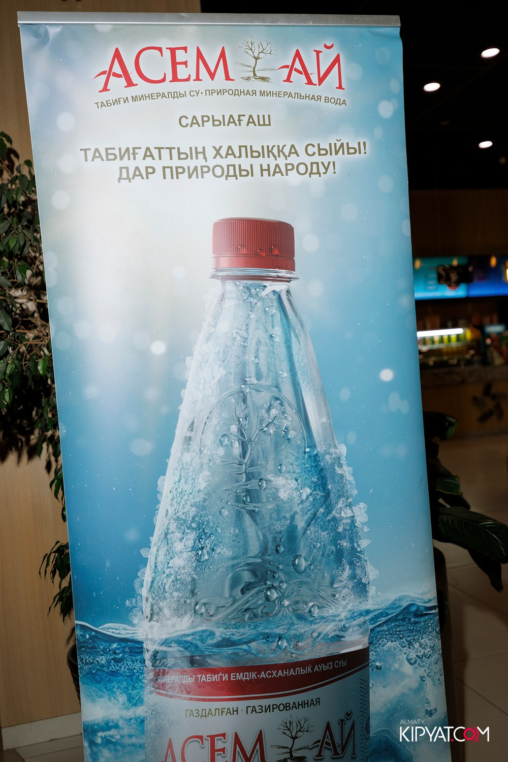 ПРЕДПОКАЗ ФИЛЬМА УЯТ. КИПЯТКОМ АЛМАТЫ! Фотосъемка мероприятий в Алматы