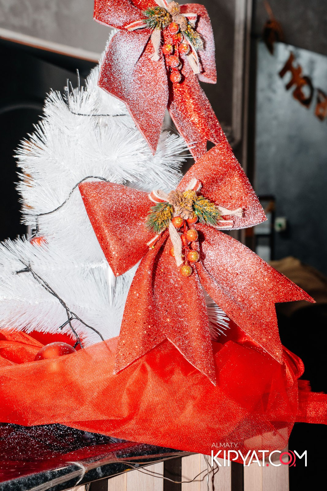 УХО И МЕДВЕДЬ НА КУРМАНГАЗЫ. КИПЯТКОМ АЛМАТЫ!