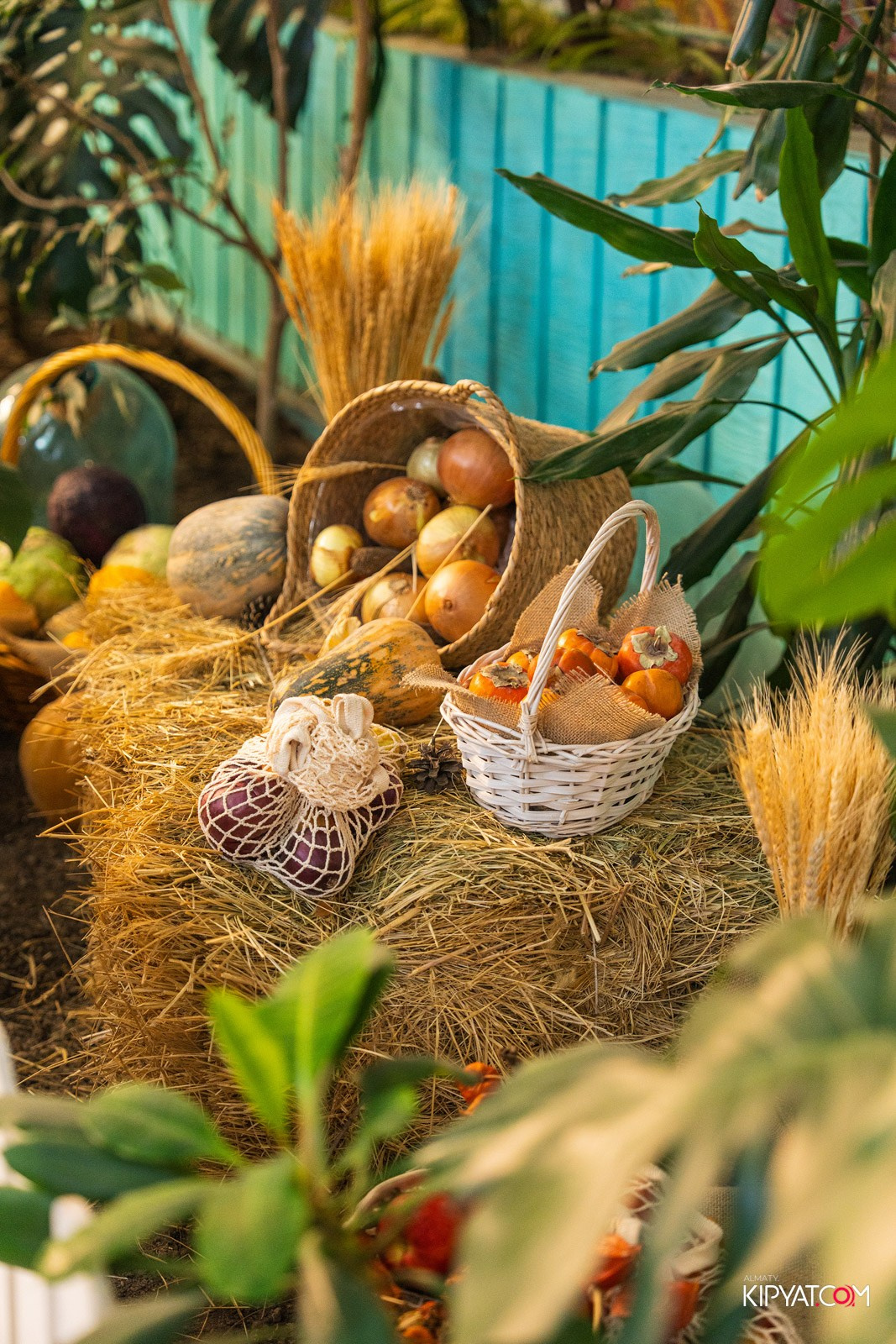 9 ЛЕТ ДОМ-РЕСТОРАНУ СЧАСТЬЕ. КИПЯТКОМ АЛМАТЫ!