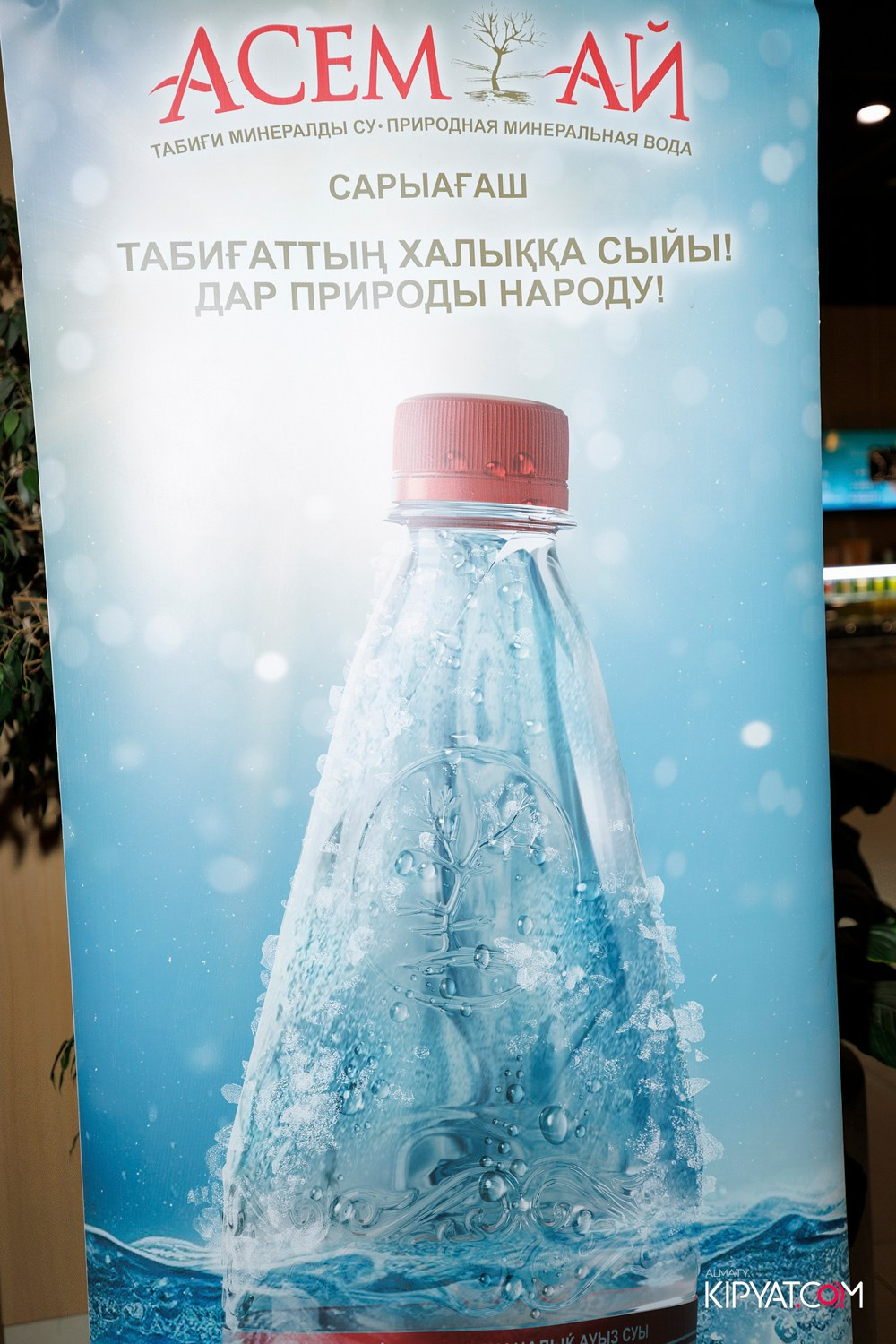 ПРЕДПОКАЗ ФИЛЬМА УЯТ. КИПЯТКОМ АЛМАТЫ! Фотосъемка мероприятий в Алматы