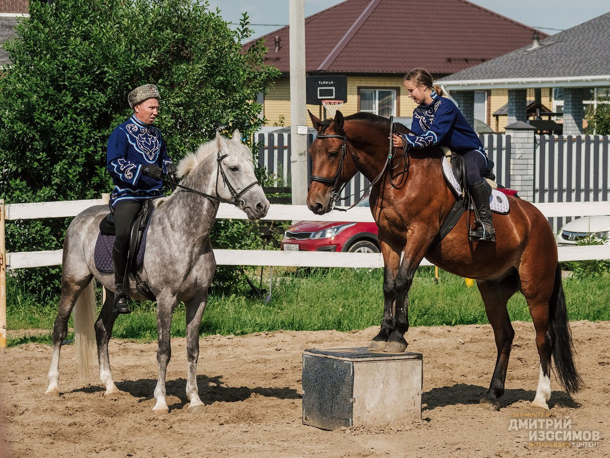 Скачки фаворитов 2024