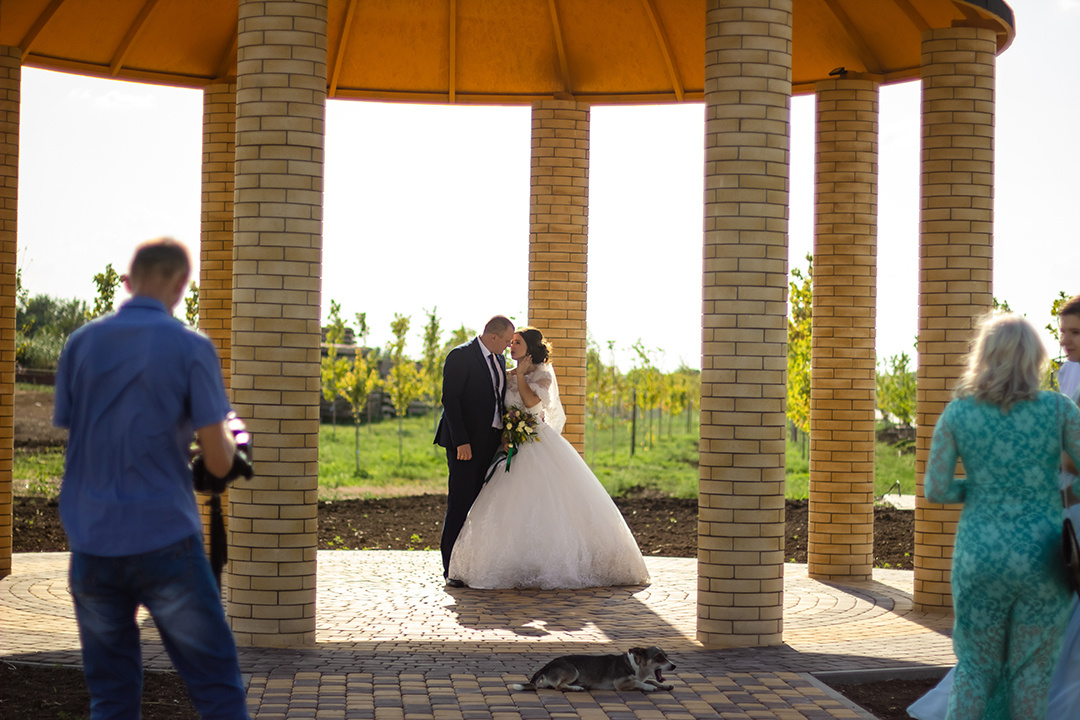 Настя и Саша 18.08.2018. Алексеева Татьяна свадебный фотограф Краснодар, Краснодарский край