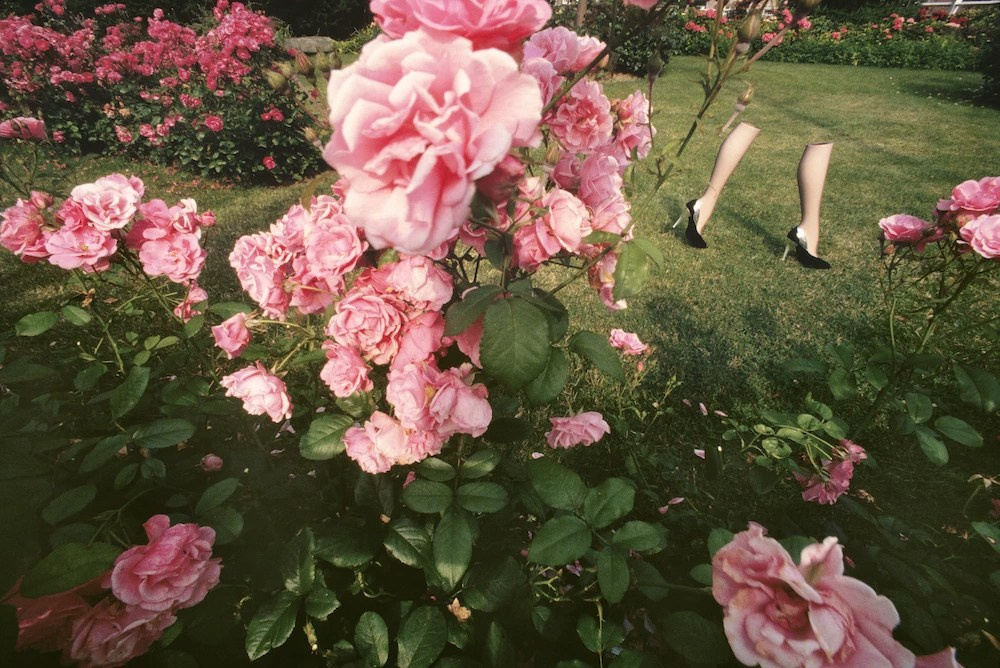 Ги Бурден, рекламная кампания для бренда Charles Jourdan, 1979 год