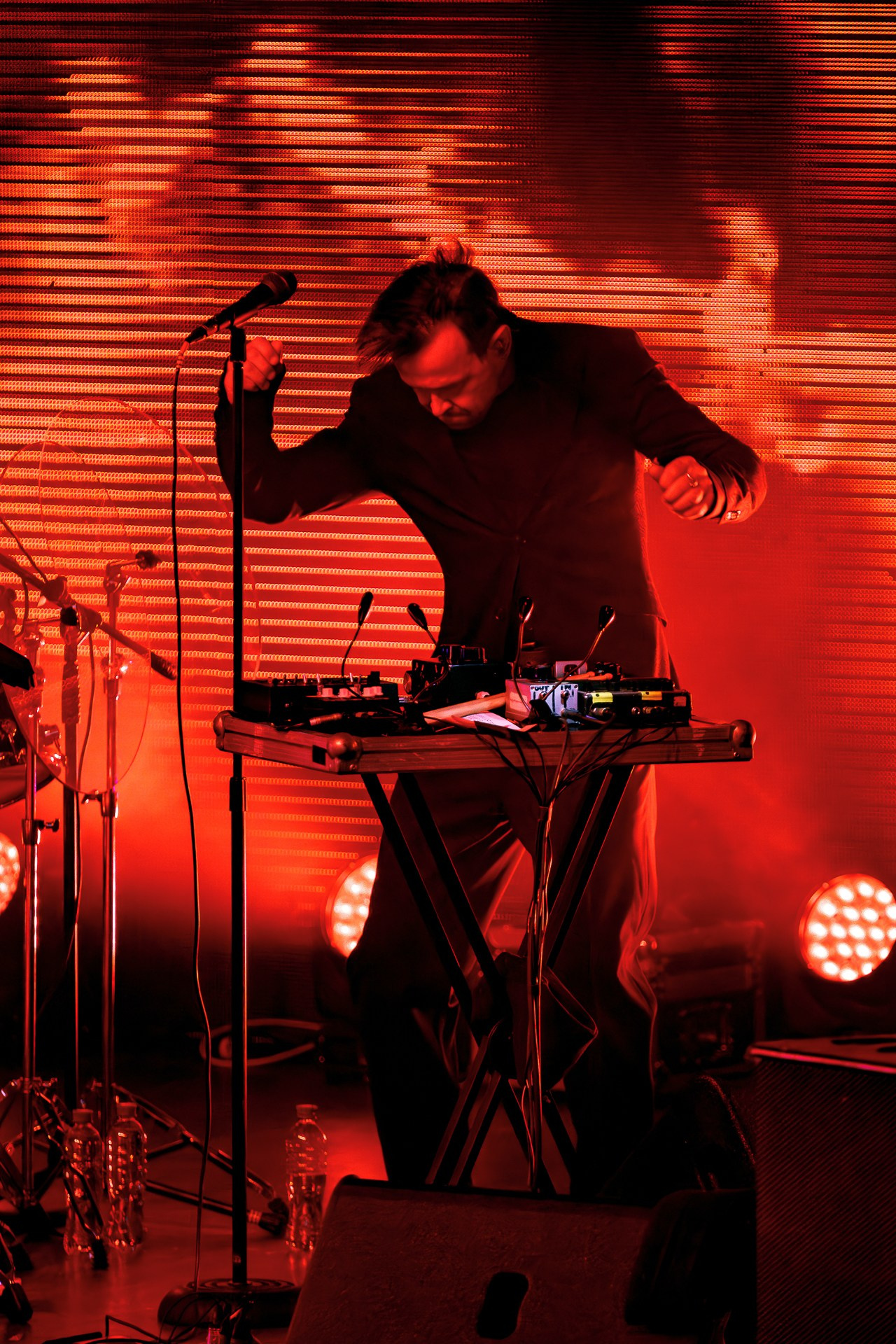 Андрей Лысиков. Дельфин, 05.06.25, VK Gipsy