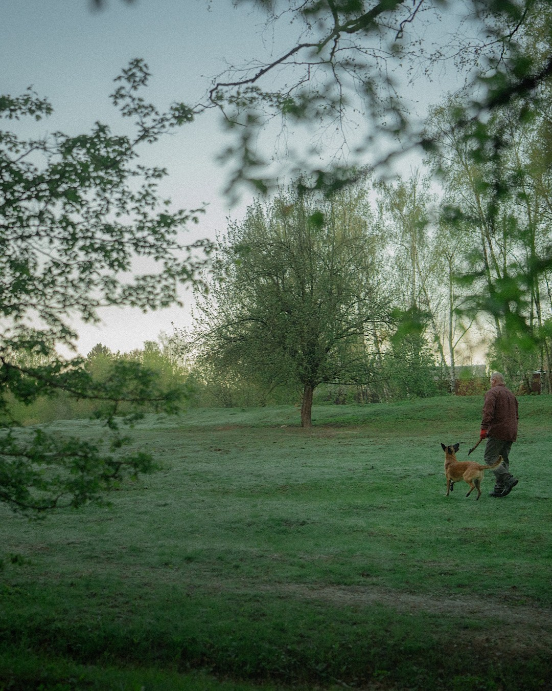 Наталья, Сергей и Уна. Фотограф анималист в Москве и Санкт-Петербурге Свиридова Анна