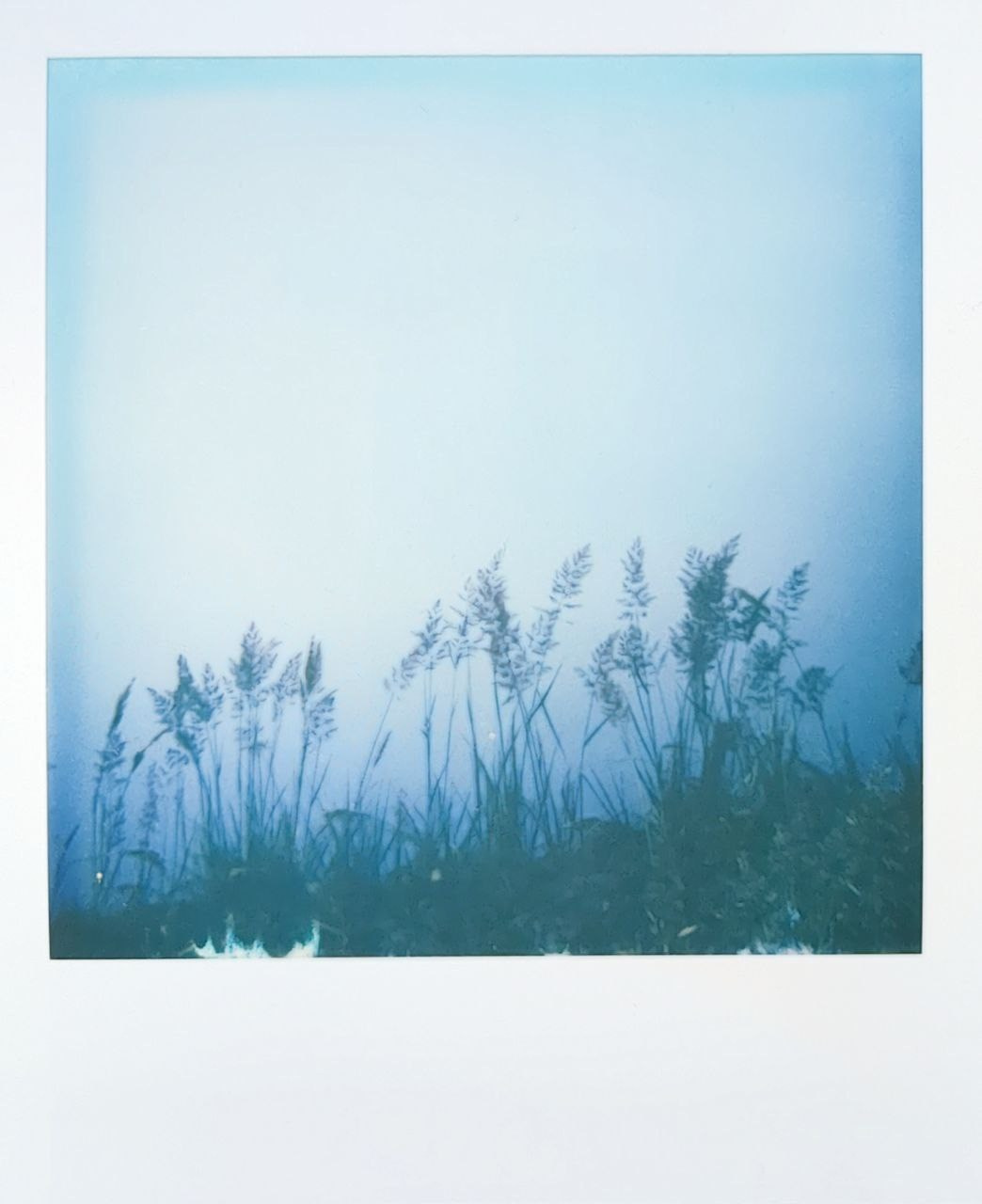 Polaroids. Ольга Лончакова, фотограф, режиссер