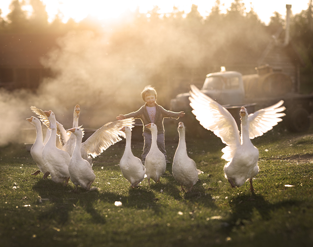 Мои Работы. Елена Шумилова