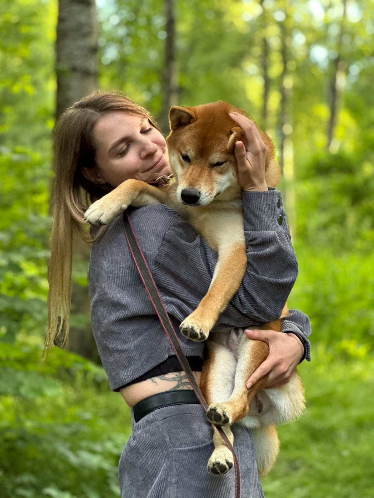 Сиба RUBYLIGHT Taddeus питомник Рубилайт 