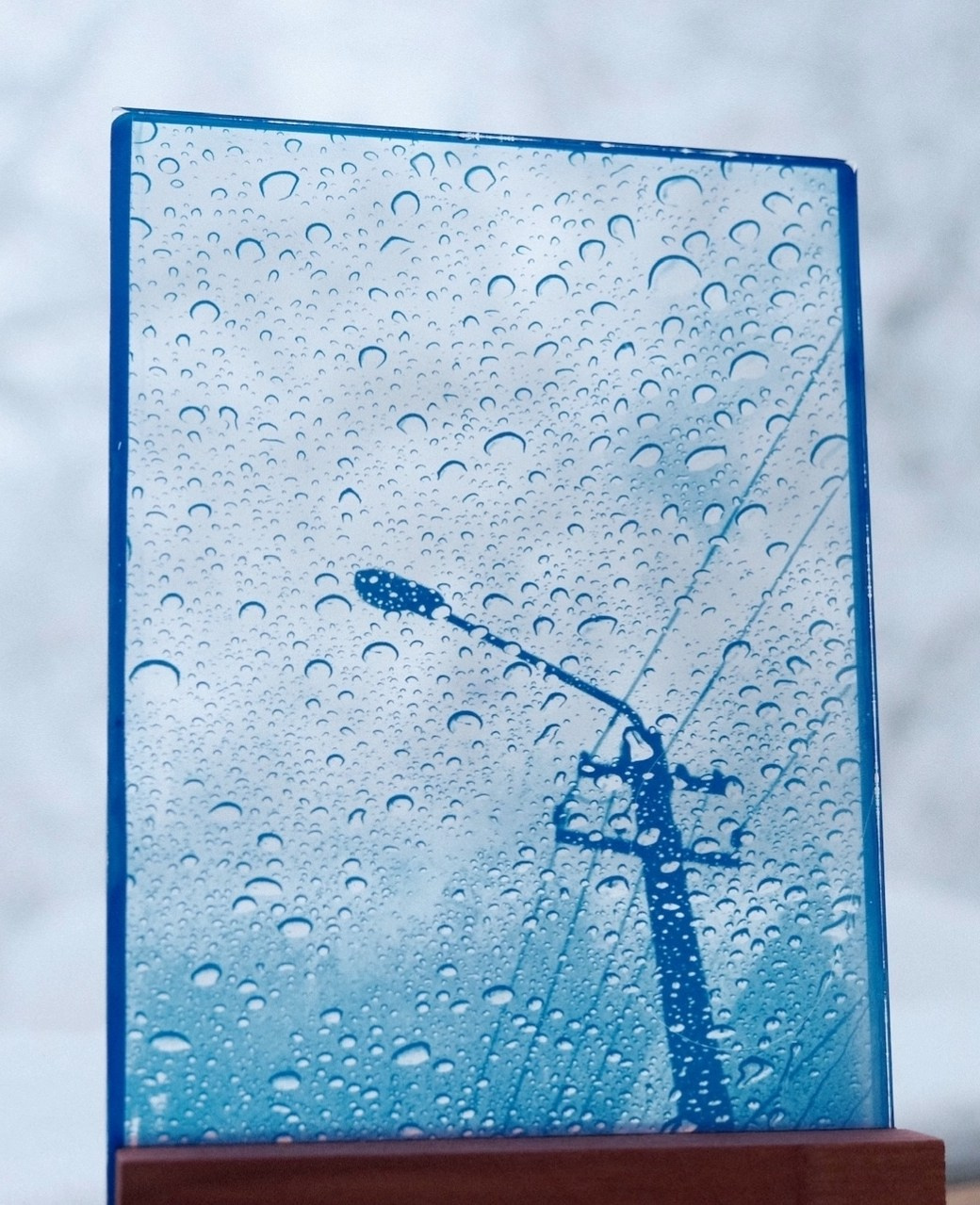 Alternative processe. Maria Norden