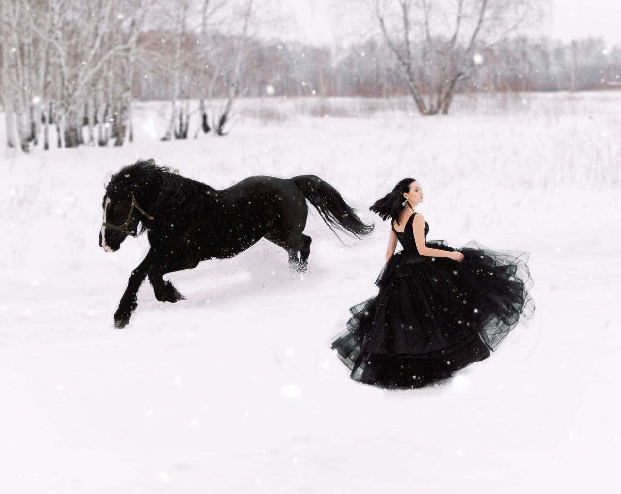 Фотосессии в Анкоре. Конные прогулки в клубе «Анкор» — Омск