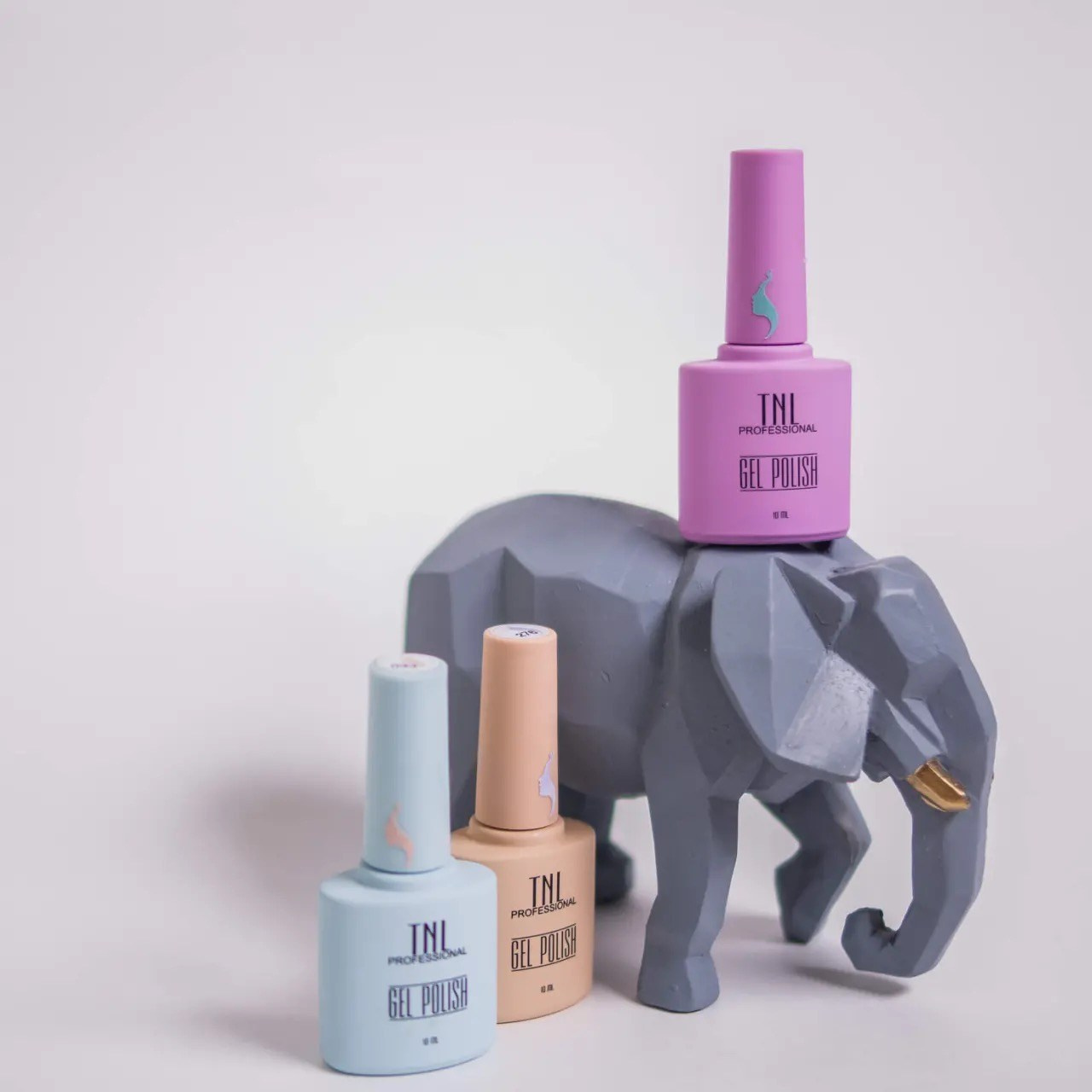 МАРКЕТПЛЕЙС. Фотограф Светлана Воронцова