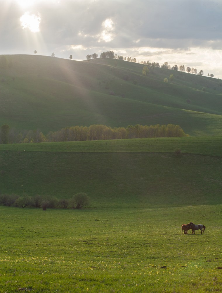 Фотокниги. Холсты. Печать
