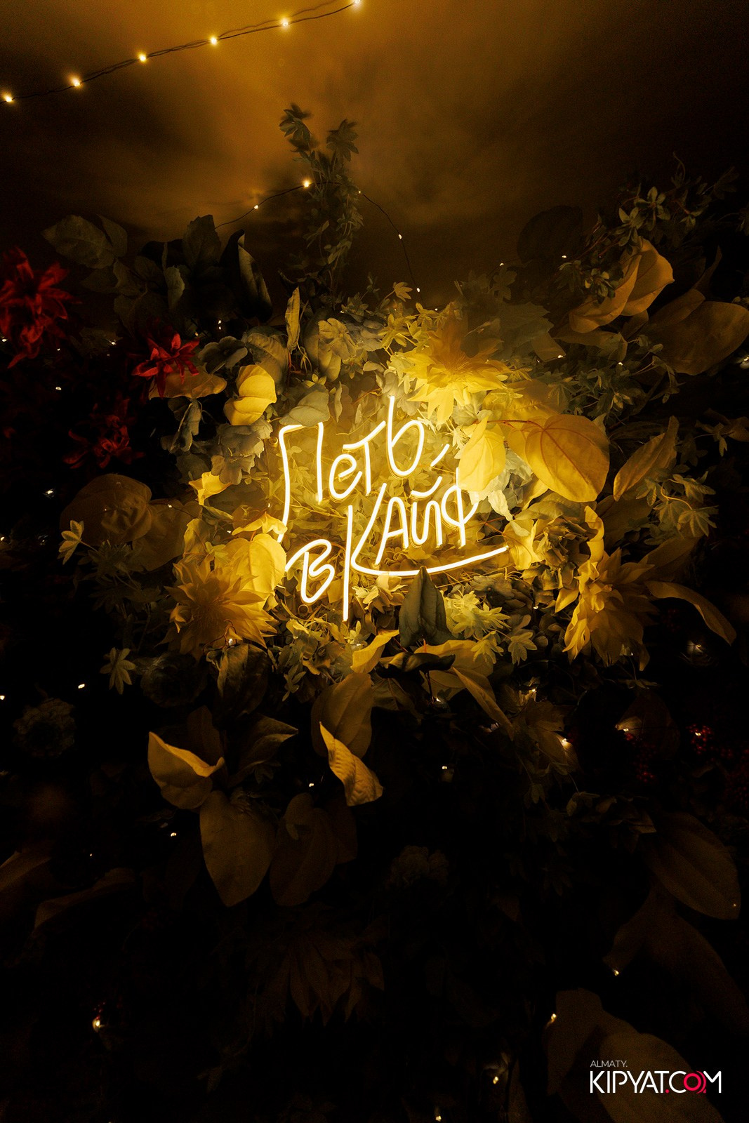 УХО И МЕДВЕДЬ НА ГАГАРИНА. КИПЯТКОМ АЛМАТЫ! Фотосъемка мероприятий в Алматы