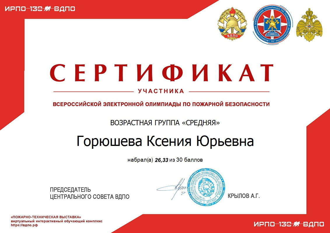 Результативность учеников. Зойкин Максим Валерьевич