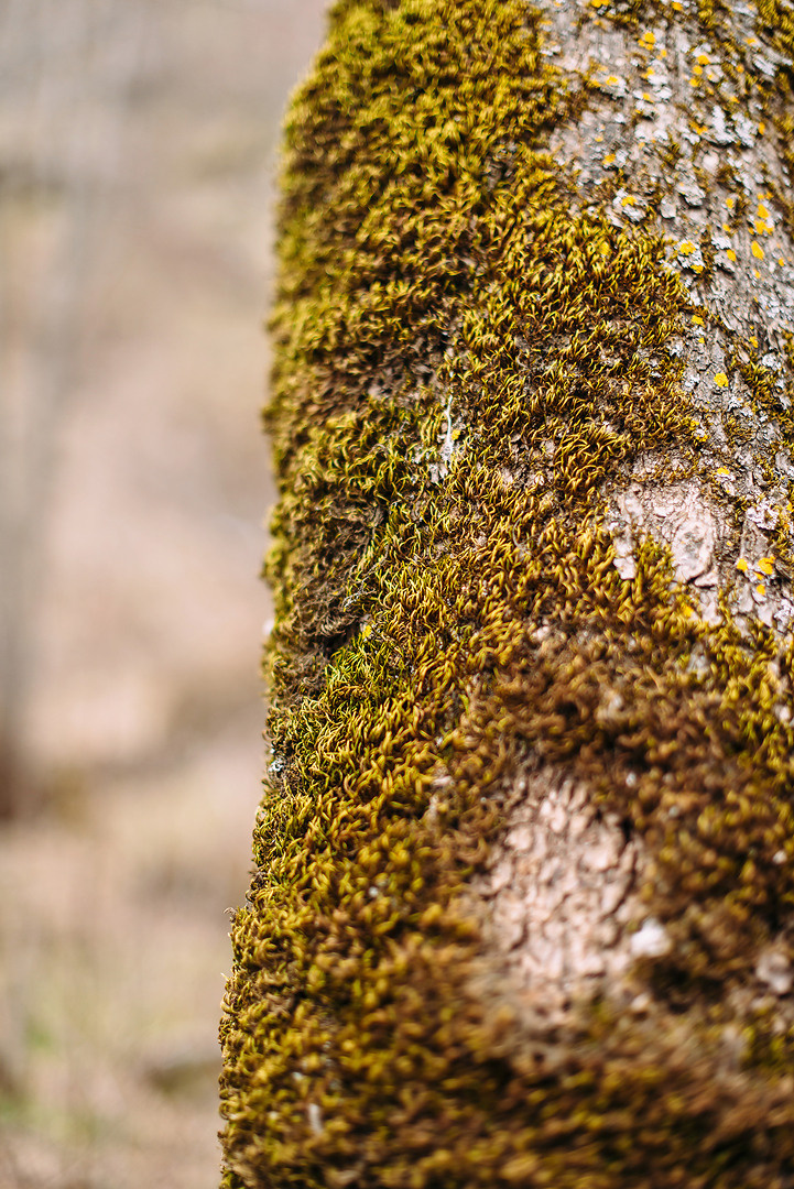 Юрий и Людмила. Свадебный и семейный фотограф в Стерлитамаке, Салавате. Илья Антохин