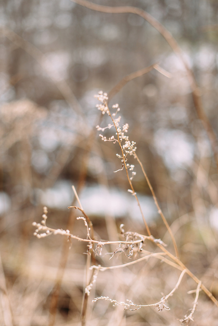 Юрий и Людмила. Свадебный и семейный фотограф в Стерлитамаке, Салавате. Илья Антохин