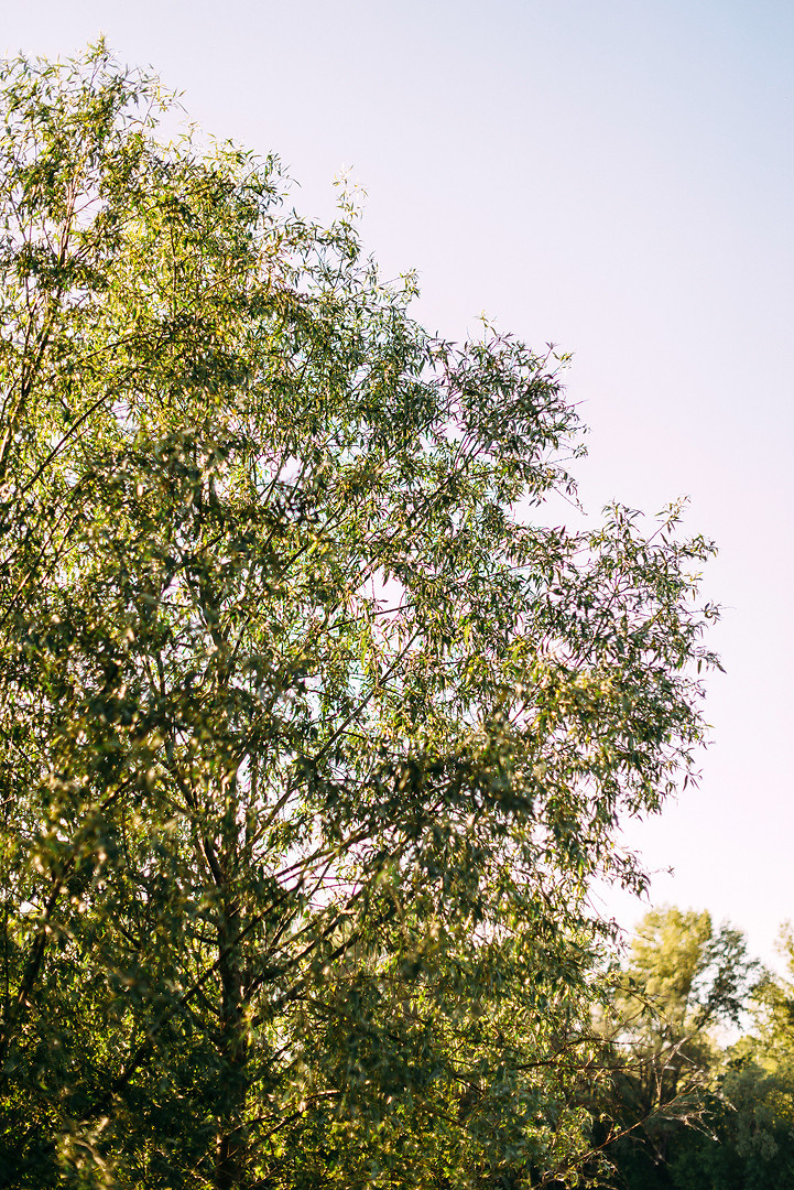 Виктор и Алёна. Свадебный и семейный фотограф в Стерлитамаке, Салавате. Илья Антохин