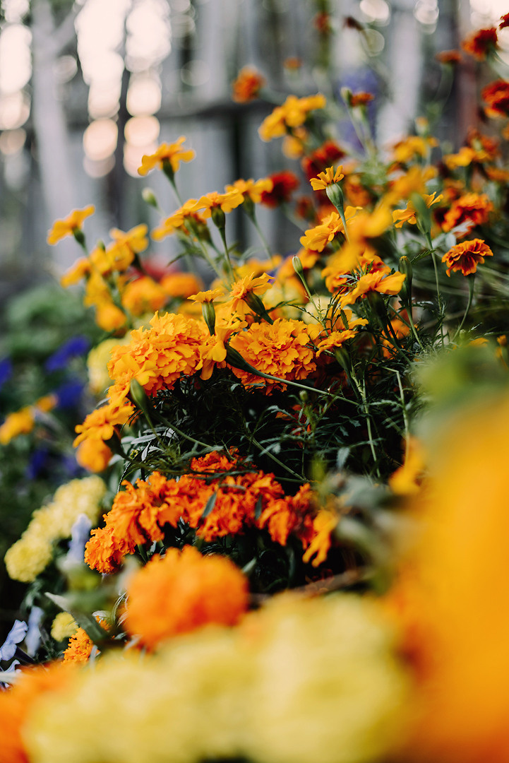 Сентябрьским вечером на огороде. Свадебный и семейный фотограф в Стерлитамаке, Салавате. Илья Антохин