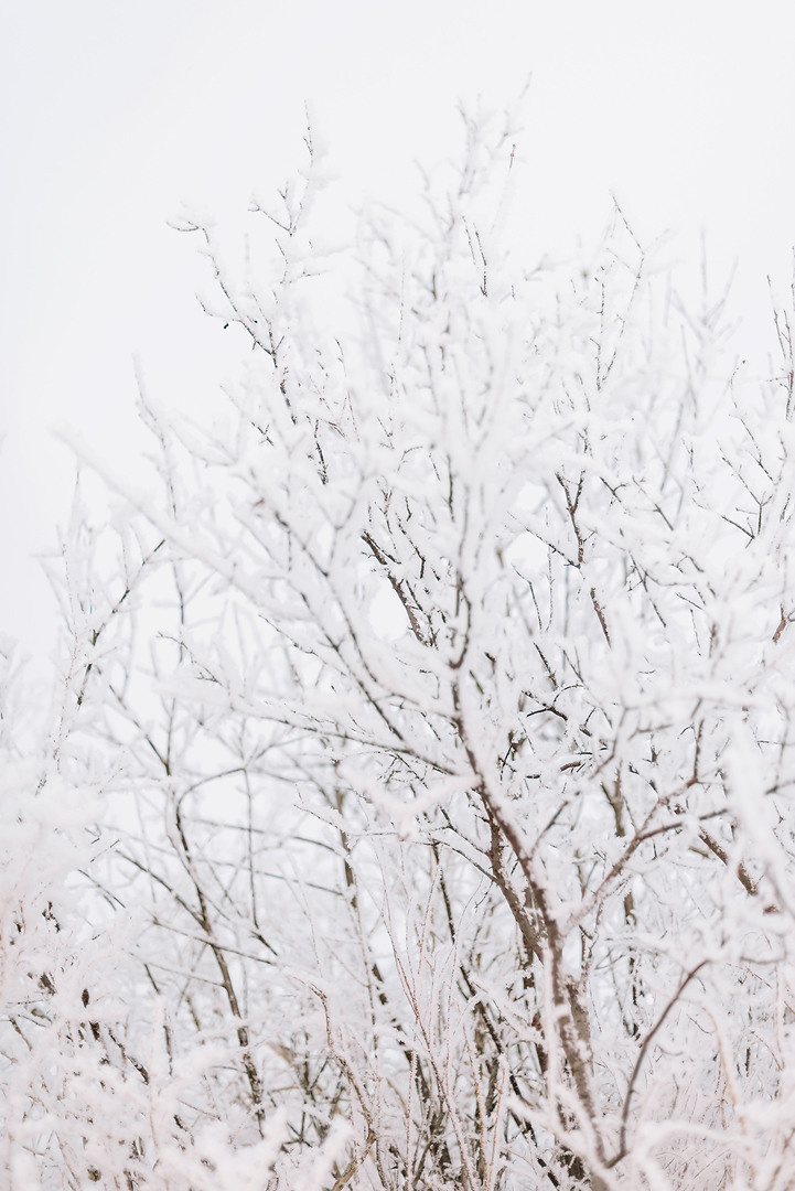 Моя Бабуля Валентина Ильинична. Свадебный и семейный фотограф в Стерлитамаке, Салавате. Илья Антохин
