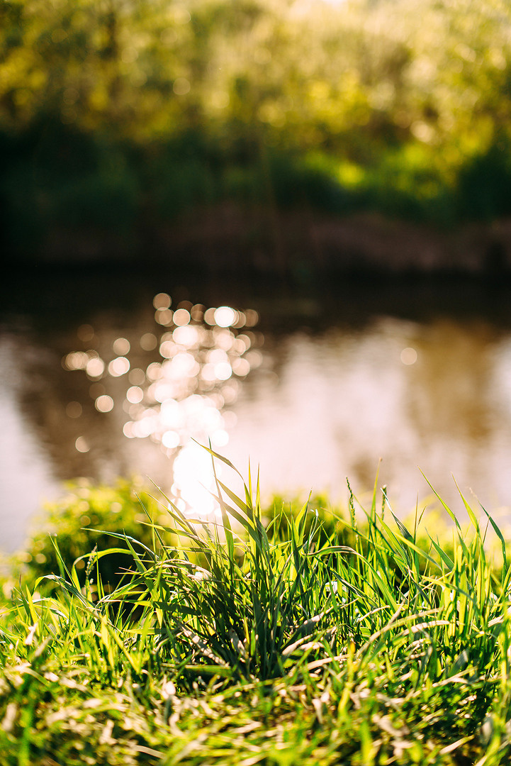 Виктор и Алёна. Свадебный и семейный фотограф в Стерлитамаке, Салавате. Илья Антохин