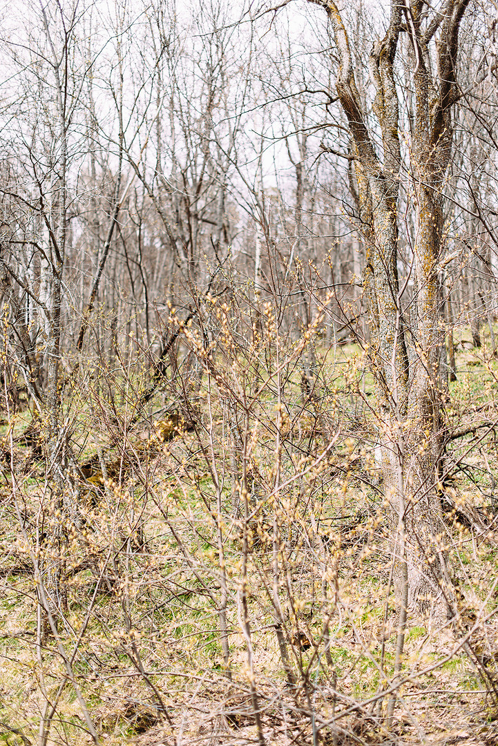 Юрий и Людмила. Свадебный и семейный фотограф в Стерлитамаке, Салавате. Илья Антохин